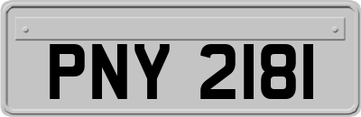 PNY2181