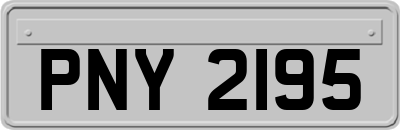 PNY2195