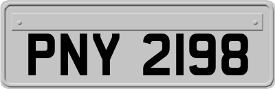PNY2198