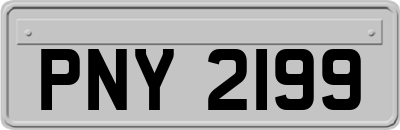 PNY2199