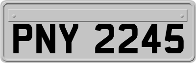 PNY2245
