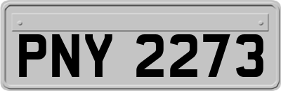 PNY2273