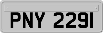 PNY2291