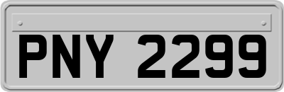 PNY2299