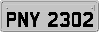 PNY2302