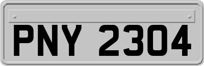 PNY2304
