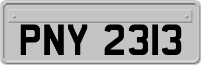 PNY2313