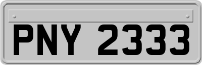 PNY2333