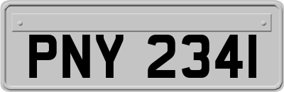PNY2341