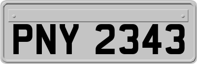 PNY2343