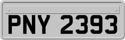 PNY2393
