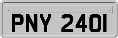 PNY2401
