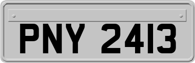 PNY2413