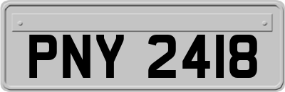 PNY2418