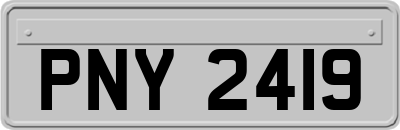 PNY2419