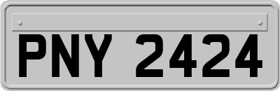 PNY2424