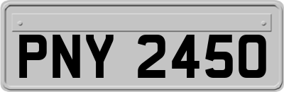 PNY2450