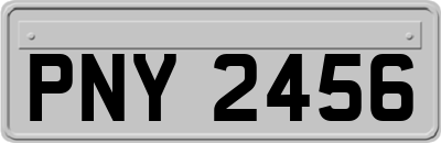 PNY2456
