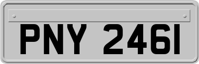 PNY2461