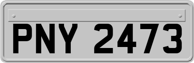 PNY2473