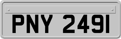 PNY2491