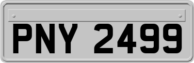 PNY2499