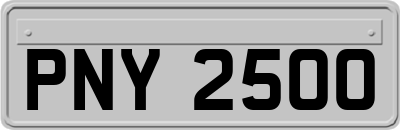 PNY2500