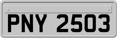 PNY2503