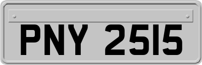PNY2515