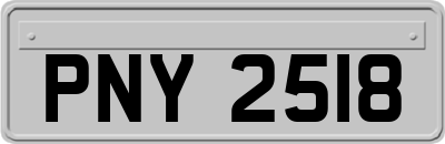 PNY2518