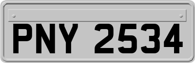 PNY2534