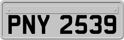 PNY2539