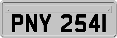 PNY2541