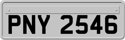 PNY2546