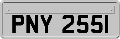 PNY2551