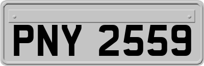 PNY2559