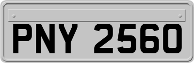 PNY2560
