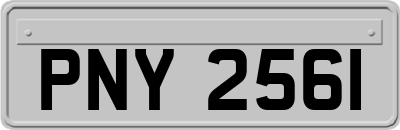 PNY2561
