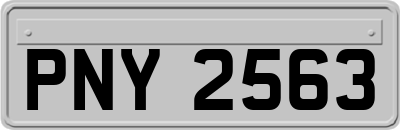 PNY2563