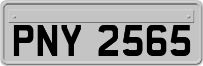 PNY2565