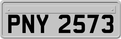 PNY2573