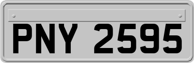 PNY2595