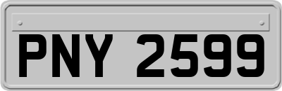 PNY2599