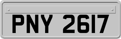 PNY2617