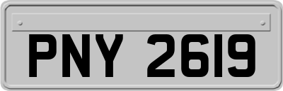 PNY2619