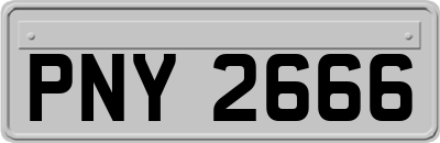 PNY2666