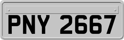 PNY2667
