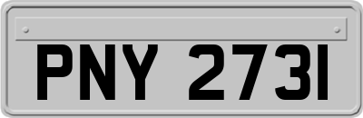 PNY2731