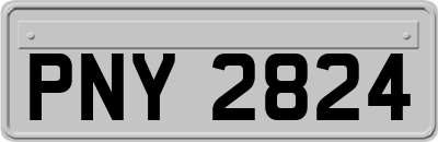 PNY2824