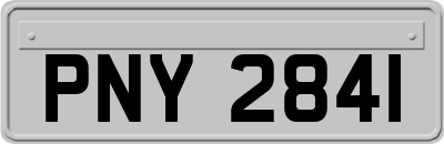 PNY2841